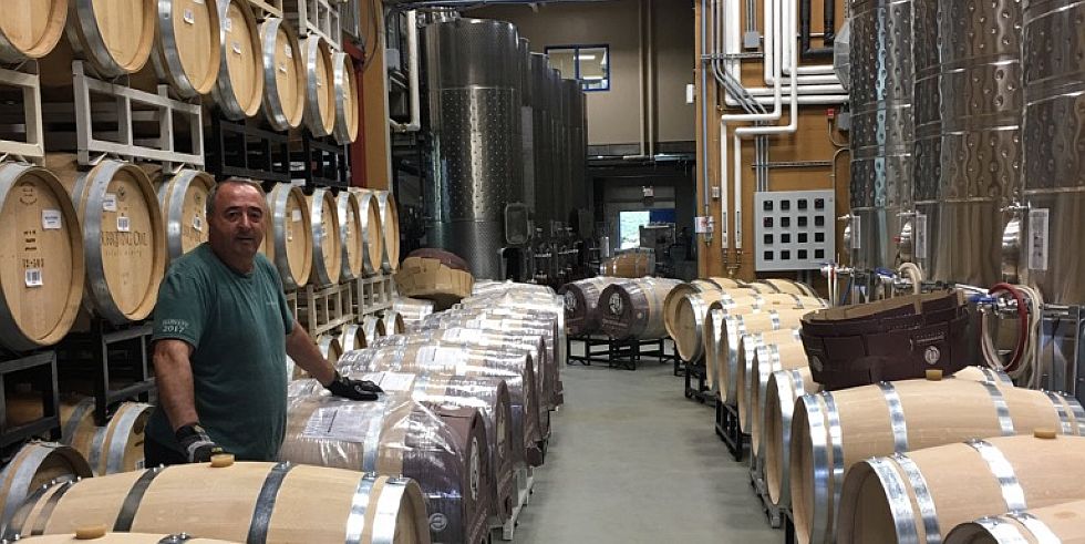 Cellar Tour and Tasting (Burrowing Owl Estate Winery)