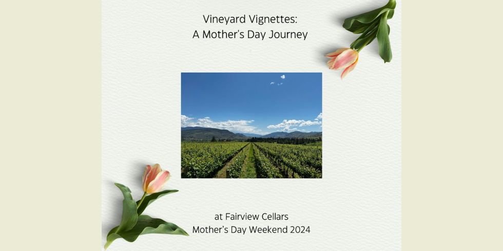 Vineyard Vignettes (Fairview Cellars)