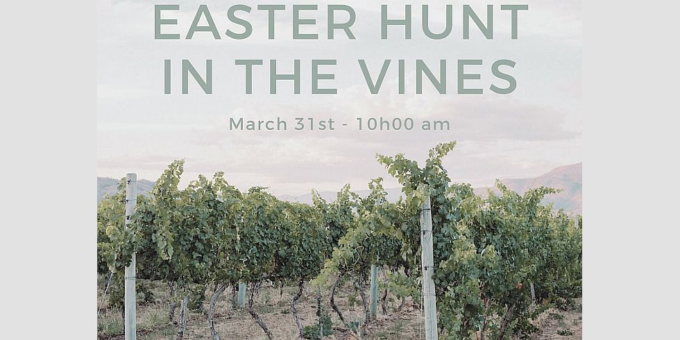 Easter Hunt In The Vines (Stoneboat Vineyards)